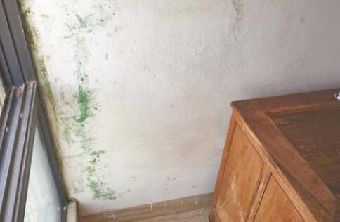 金屬屋面檐口滲水應(yīng)該怎么解決？家用防水涂料這幾點(diǎn)一定要注意