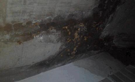 墻面滲水有什么辦法修復(fù)?屋頂防水施工的時候這些要留意