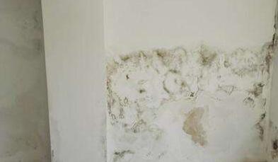 金屬屋面檐口滲水應(yīng)該怎么解決？家用防水涂料這幾點(diǎn)一定要注意