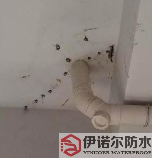 蘇州防水工程的基本內容是什么?